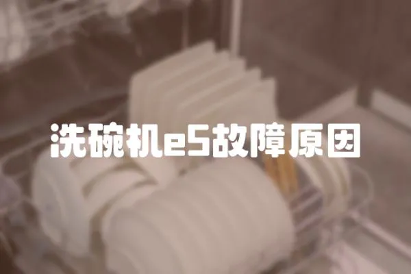 洗碗機e5故障原因