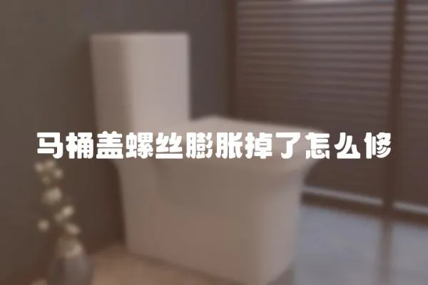 馬桶蓋螺絲膨脹掉了怎么修