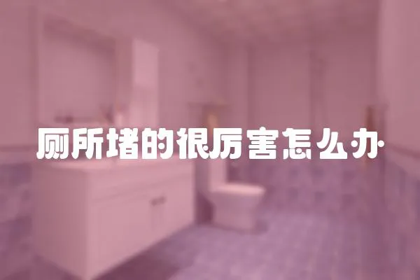 廁所堵的很厲害怎么辦