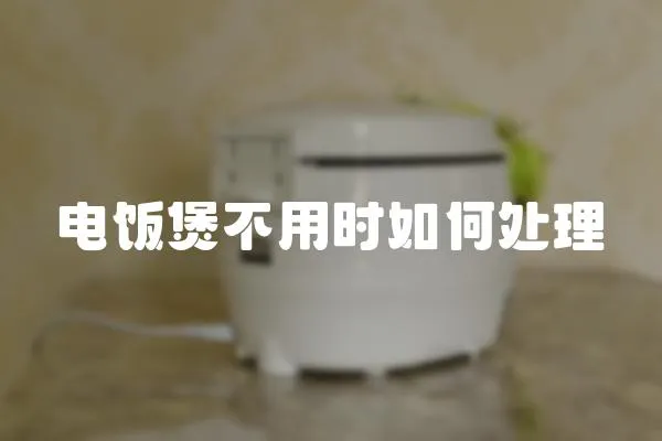 電飯煲不用時如何處理