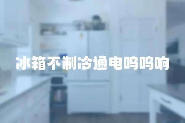 冰箱不制冷通電嗚嗚響