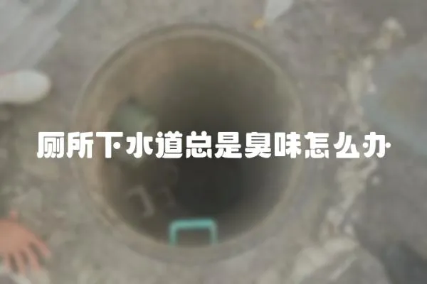 廁所下水道總是臭味怎么辦