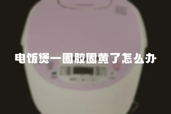 電飯煲一圈膠圈黃了怎么辦