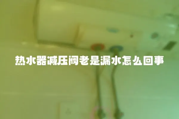 熱水器減壓閥老是漏水怎么回事