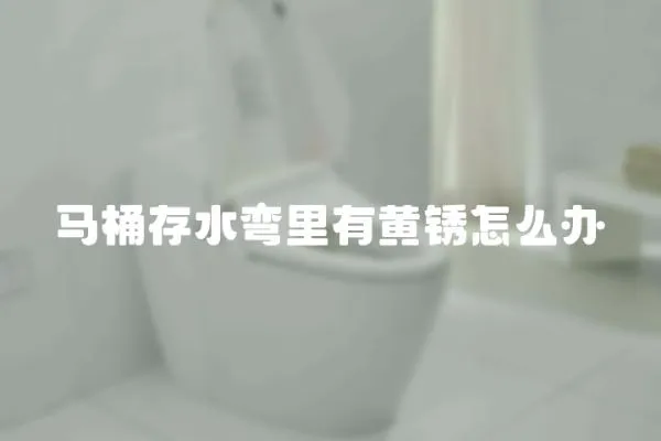 馬桶存水彎里有黃銹怎么辦