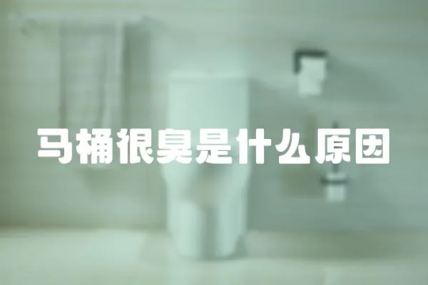 馬桶很臭是什么原因