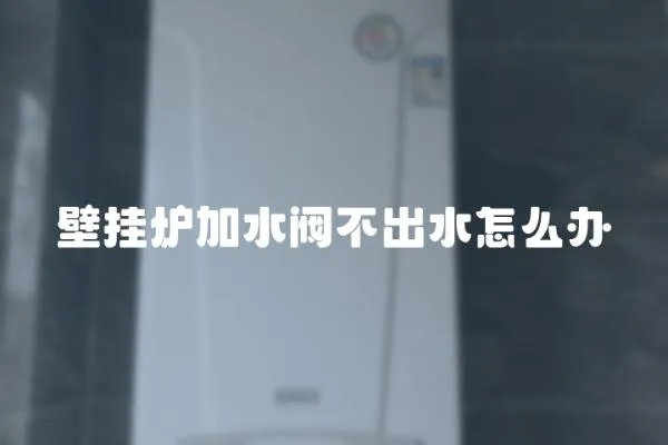 壁掛爐加水閥不出水怎么辦