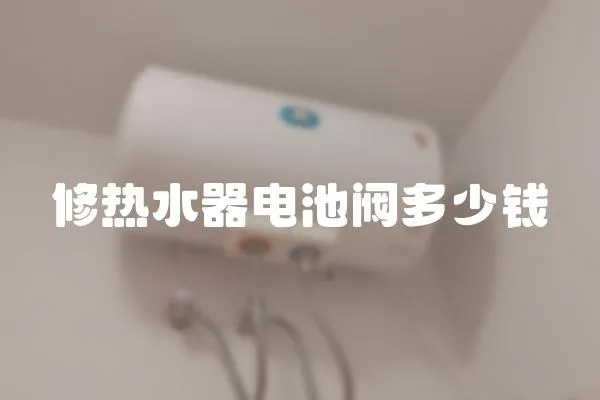 修熱水器電池閥多少錢