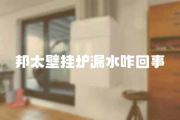 邦太壁掛爐漏水咋回事