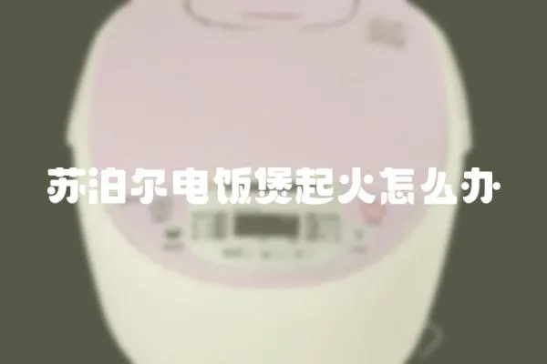 蘇泊爾電飯煲起火怎么辦