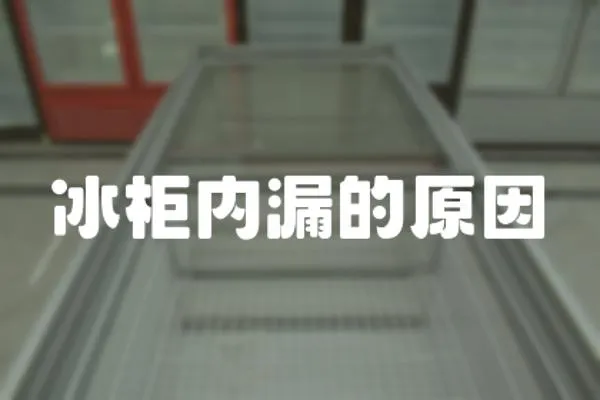 冰柜內漏的原因