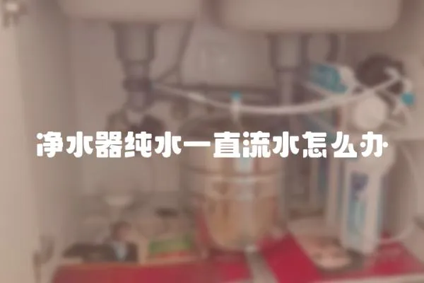 凈水器純水一直流水怎么辦