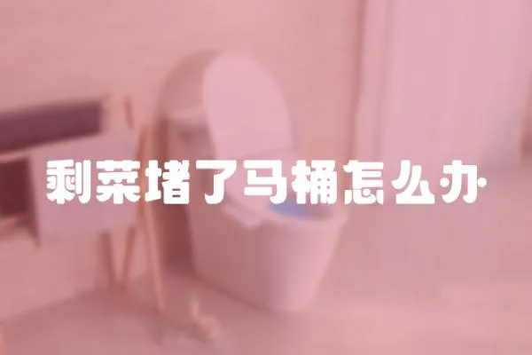 剩菜堵了馬桶怎么辦