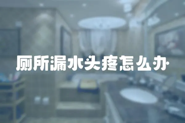 廁所漏水頭疼怎么辦