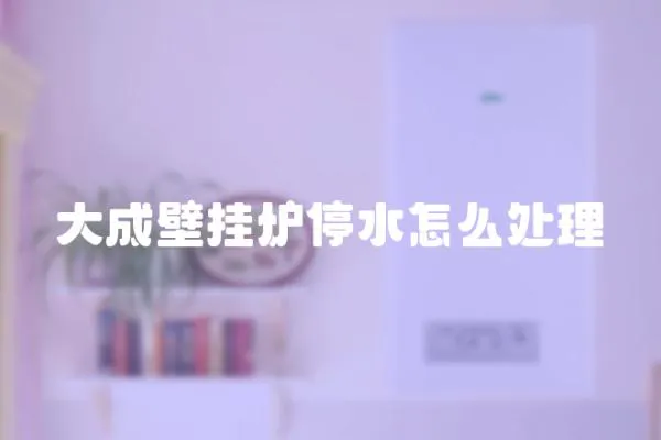 大成壁掛爐停水怎么處理