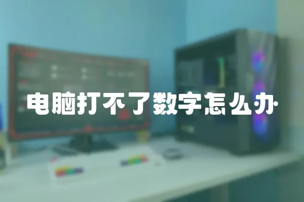 電腦打不了數字怎么辦