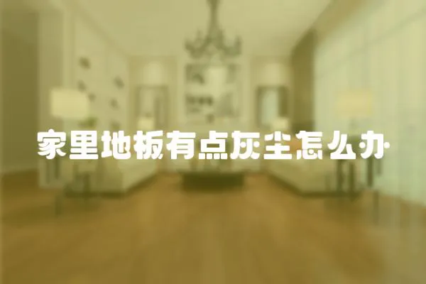 家里地板有點灰塵怎么辦