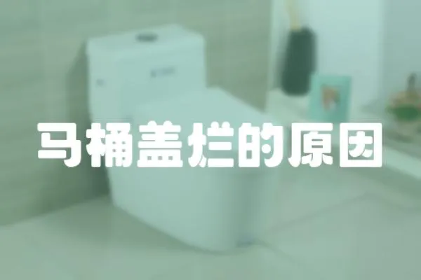 馬桶蓋爛的原因
