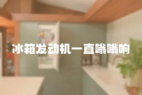 冰箱發(fā)動(dòng)機(jī)一直嗡嗡響