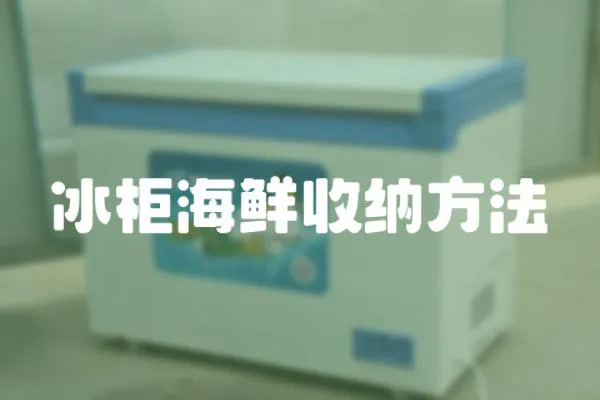 冰柜海鮮收納方法