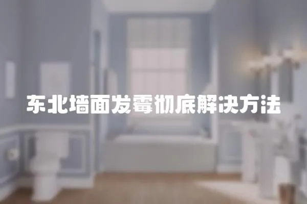 東北墻面發霉徹底解決方法