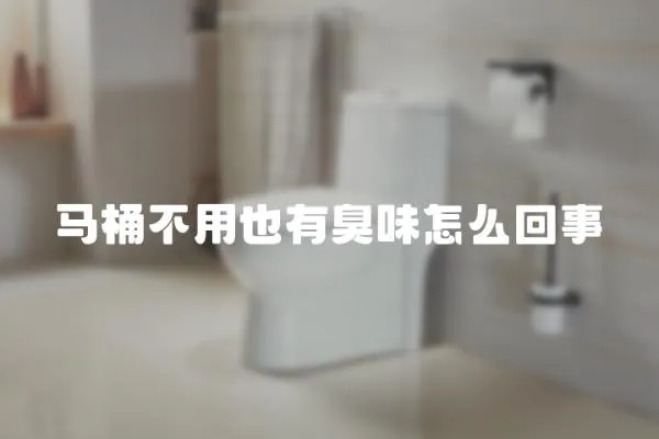 馬桶不用也有臭味怎么回事