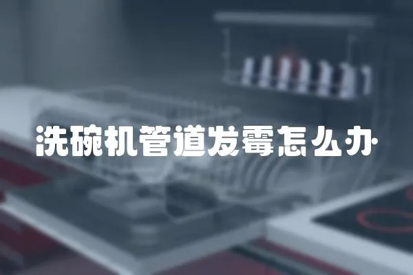洗碗機管道發霉怎么辦
