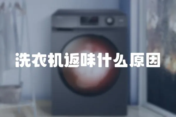 洗衣機返味什么原因