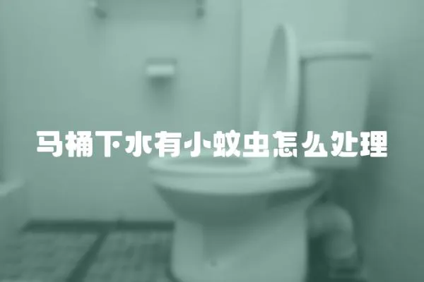 馬桶下水有小蚊蟲怎么處理