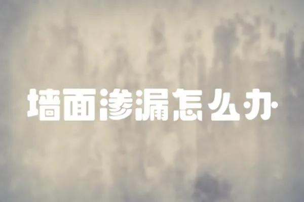 墻面滲漏怎么辦