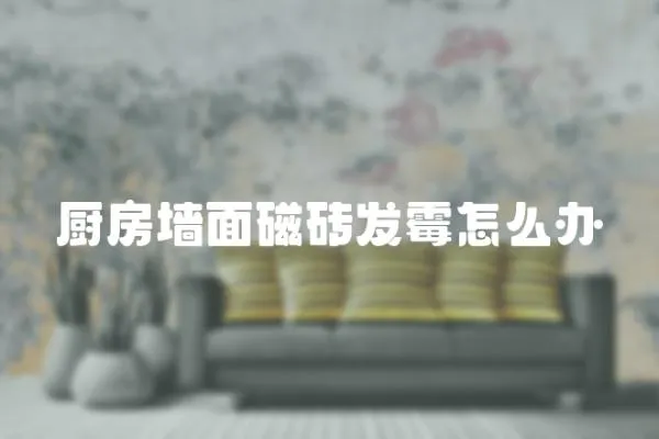 廚房墻面磁磚發(fā)霉怎么辦