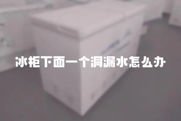 冰柜下面一個洞漏水怎么辦