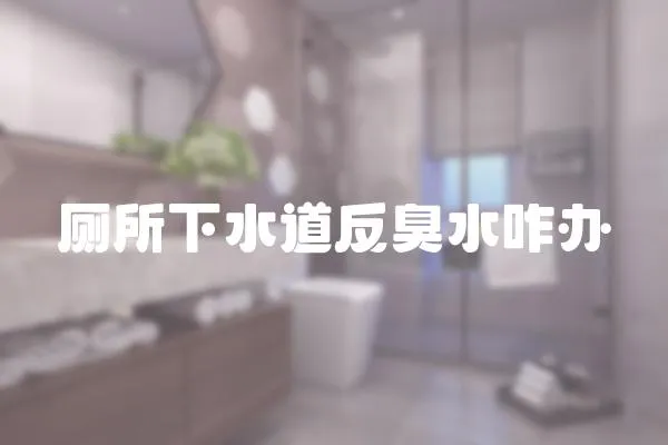 廁所下水道反臭水咋辦