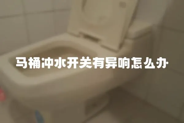馬桶沖水開關有異響怎么辦