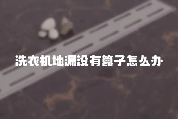 洗衣機地漏沒有篦子怎么辦