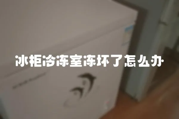 冰柜冷凍室凍壞了怎么辦