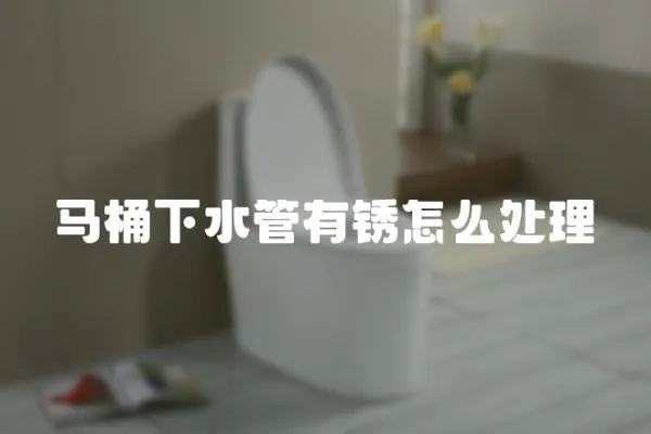 馬桶下水管有銹怎么處理