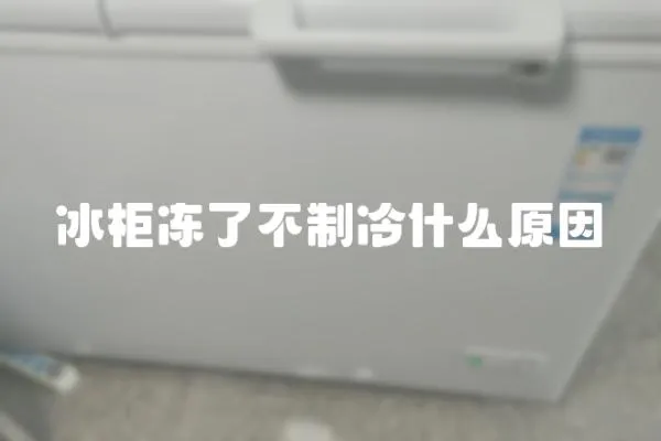 冰柜凍了不制冷什么原因