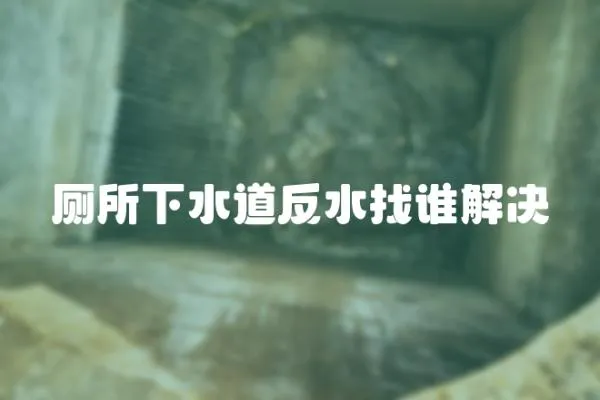 廁所下水道反水找誰解決