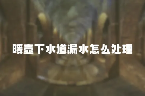 暖壺下水道漏水怎么處理