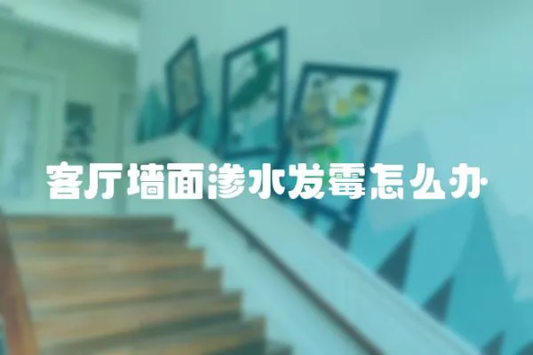 客廳墻面滲水發(fā)霉怎么辦