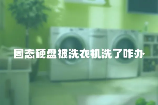 固態硬盤被洗衣機洗了咋辦