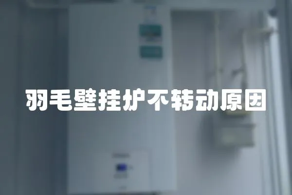 羽毛壁掛爐不轉動原因