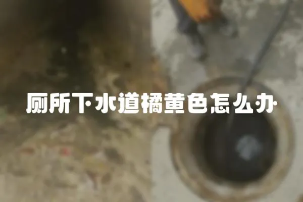 廁所下水道橘黃色怎么辦