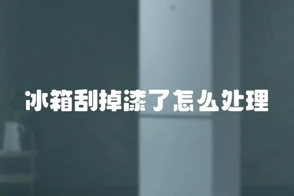 冰箱刮掉漆了怎么處理