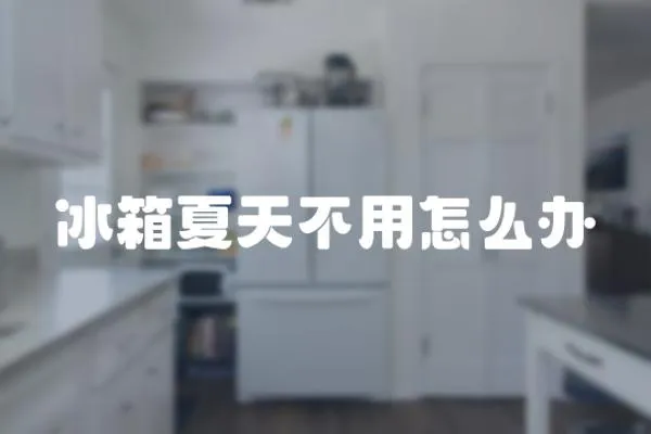 冰箱夏天不用怎么办