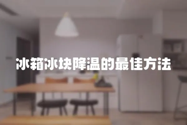 冰箱冰塊降溫的最佳方法