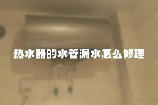熱水器的水管漏水怎么修理