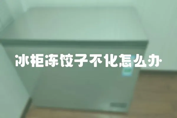 冰柜凍餃子不化怎么辦