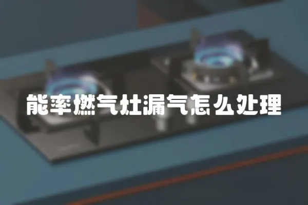 能率燃氣灶漏氣怎么處理